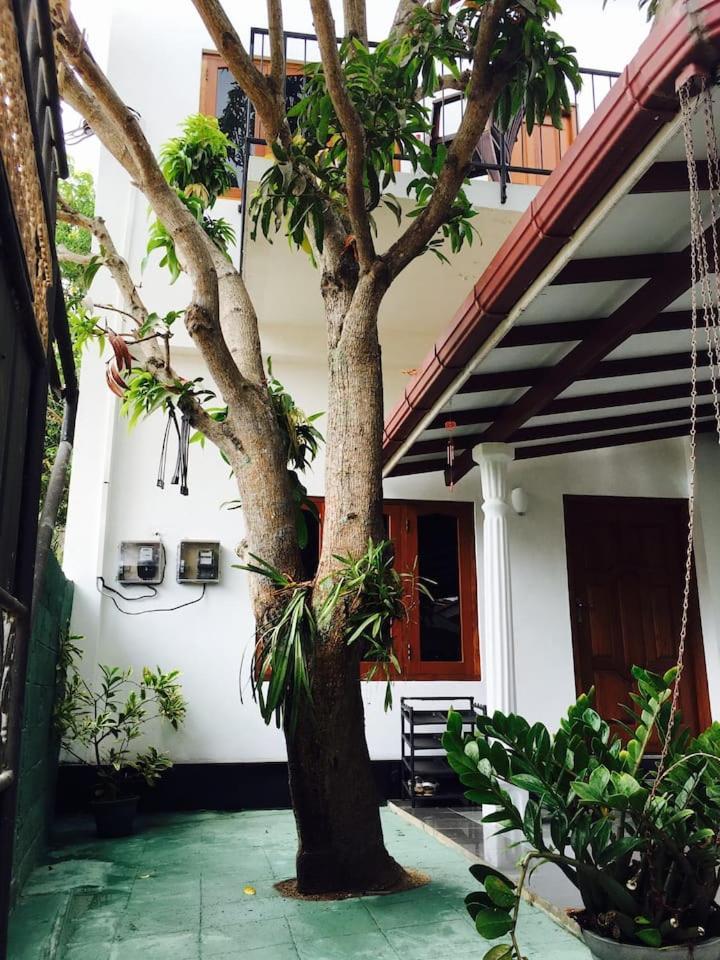 House Of Seya Bed & Breakfast Negombo Dış mekan fotoğraf