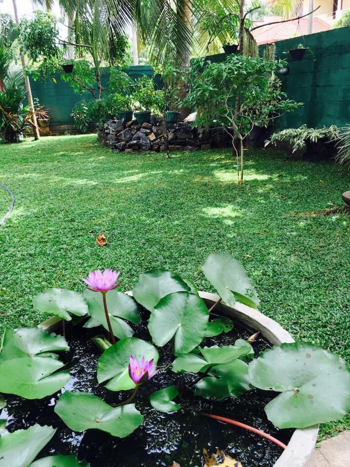 House Of Seya Bed & Breakfast Negombo Dış mekan fotoğraf