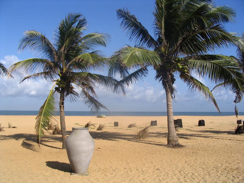 House Of Seya Bed & Breakfast Negombo Dış mekan fotoğraf