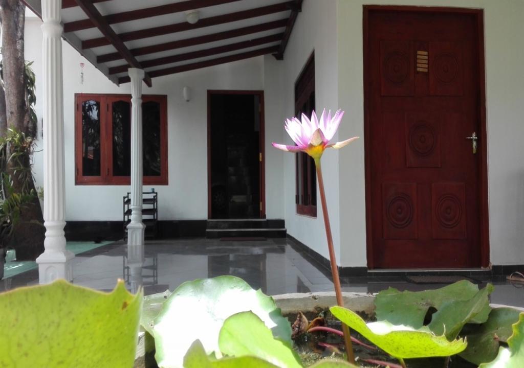 House Of Seya Bed & Breakfast Negombo Dış mekan fotoğraf